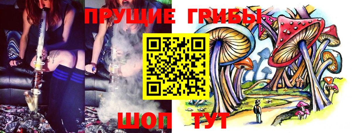 Псилоцибиновые грибы GOLDEN TEACHER Миллерово